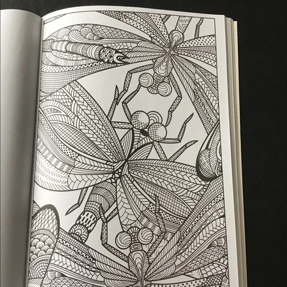 Coloring book - Picture 5 of 6